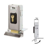 V-06 VIRO